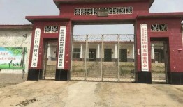 蒙阴县最新爆料信息,揭秘当地发展新动态与民生改善成果