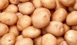 楼奴土豆在线观看,揭秘都市白领的租房生活